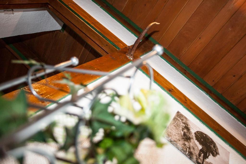 Chalet Appartement Alpenherz Заалбах-Хинтерглем Стая снимка